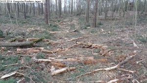 2014-03-24-kiesgrube-postfenn-082