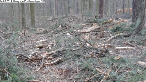 2014-03-24-kiesgrube-postfenn-083