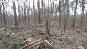 2014-03-24-kiesgrube-postfenn-084