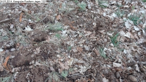 2014-03-24-kiesgrube-postfenn-085