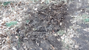 2014-03-24-kiesgrube-postfenn-086