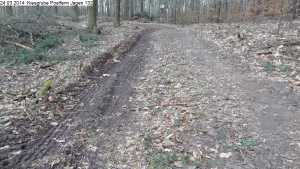 2014-03-24-kiesgrube-postfenn-089