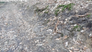 2014-03-24-kiesgrube-postfenn-091