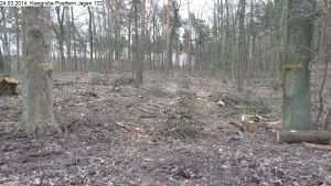 2014-03-24-kiesgrube-postfenn-094