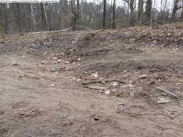 2014-03-18-langes-luch-baumfaellungen-001