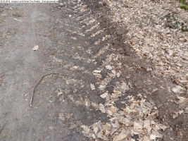 2014-03-18-langes-luch-baumfaellungen-002