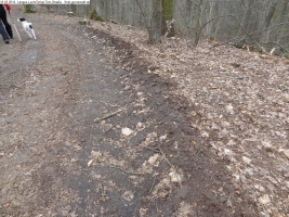 2014-03-18-langes-luch-baumfaellungen-005
