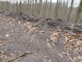 2014-03-18-langes-luch-baumfaellungen-006