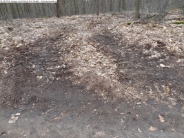 2014-03-18-langes-luch-baumfaellungen-012