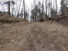 2014-03-18-langes-luch-baumfaellungen-015