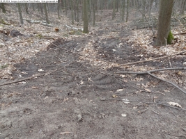2014-03-18-langes-luch-baumfaellungen-017