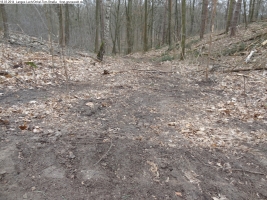 2014-03-18-langes-luch-baumfaellungen-018