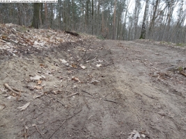 2014-03-18-langes-luch-baumfaellungen-027