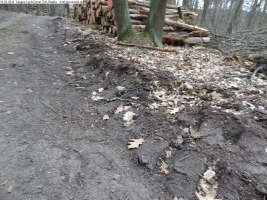 2014-03-18-langes-luch-baumfaellungen-034