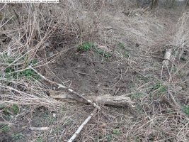 2014-03-18-langes-luch-baumfaellungen-062