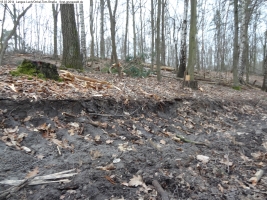 2014-03-18-langes-luch-baumfaellungen-075
