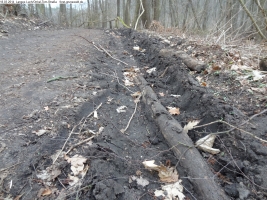 2014-03-18-langes-luch-baumfaellungen-081