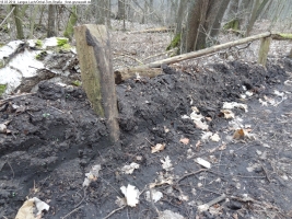 2014-03-18-langes-luch-baumfaellungen-082