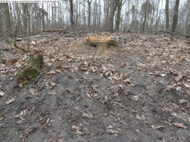 2014-03-18-langes-luch-baumfaellungen-086