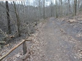 2014-03-18-langes-luch-baumfaellungen-087