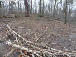 2014-03-18-langes-luch-baumfaellungen-091