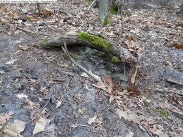 2014-03-18-langes-luch-baumfaellungen-096