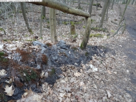 2014-03-18-langes-luch-baumfaellungen-100
