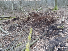 2014-03-18-langes-luch-baumfaellungen-114