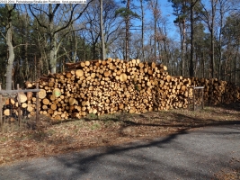 2014-03-20-pichelsberge-ampostfenn-094