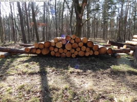 2014-03-20-pichelsberge-ampostfenn-095