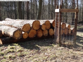 2014-03-20-pichelsberge-ampostfenn-097