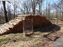 2014-03-20-pichelsberge-ampostfenn-098