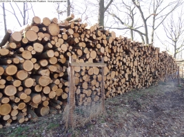 2014-03-20-pichelsberge-ampostfenn-099