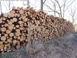 2014-03-20-pichelsberge-ampostfenn-100