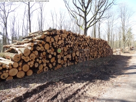 2014-03-20-pichelsberge-ampostfenn-102