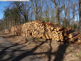 2014-03-20-pichelsberge-ampostfenn-103