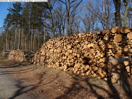 2014-03-20-pichelsberge-ampostfenn-104