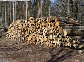 2014-03-20-pichelsberge-ampostfenn-105