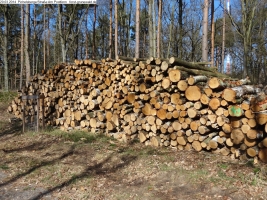 2014-03-20-pichelsberge-ampostfenn-107