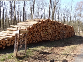 2014-03-20-pichelsberge-ampostfenn-109