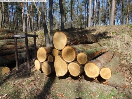 2014-03-20-pichelsberge-ampostfenn-110