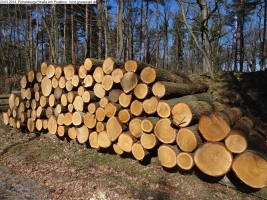 2014-03-20-pichelsberge-ampostfenn-111