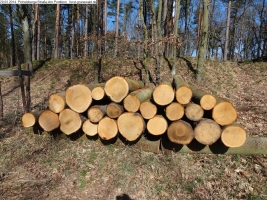 2014-03-20-pichelsberge-ampostfenn-112