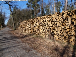 2014-03-20-pichelsberge-ampostfenn-114