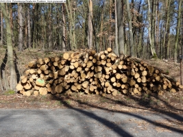 2014-03-20-pichelsberge-ampostfenn-123