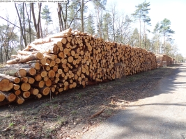 2014-03-20-pichelsberge-ampostfenn-125