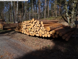 2014-03-20-pichelsberge-ampostfenn-127