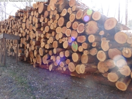 2014-03-20-pichelsberge-ampostfenn-128