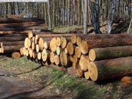 2014-03-20-pichelsberge-ampostfenn-129