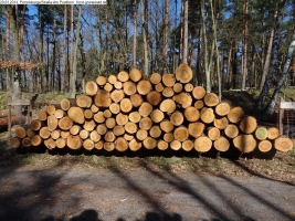 2014-03-20-pichelsberge-ampostfenn-131